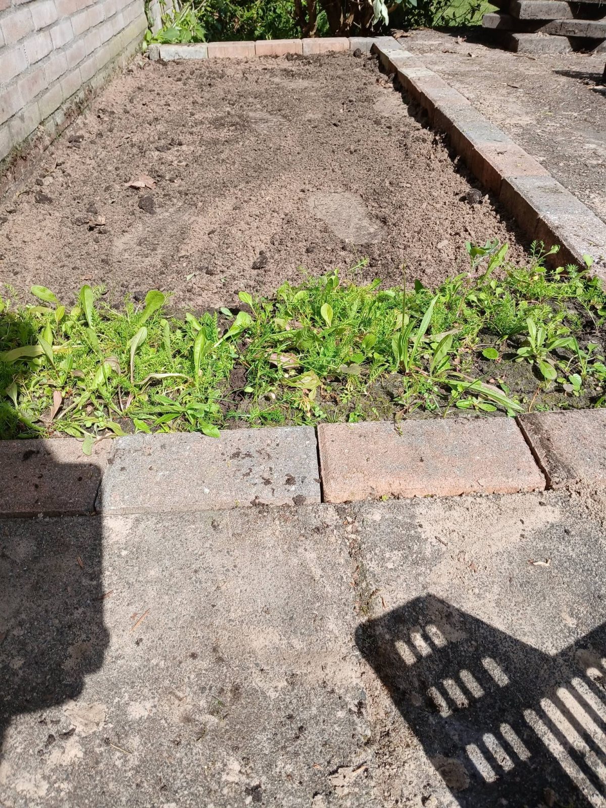 Tuinproject Anloo foto 2