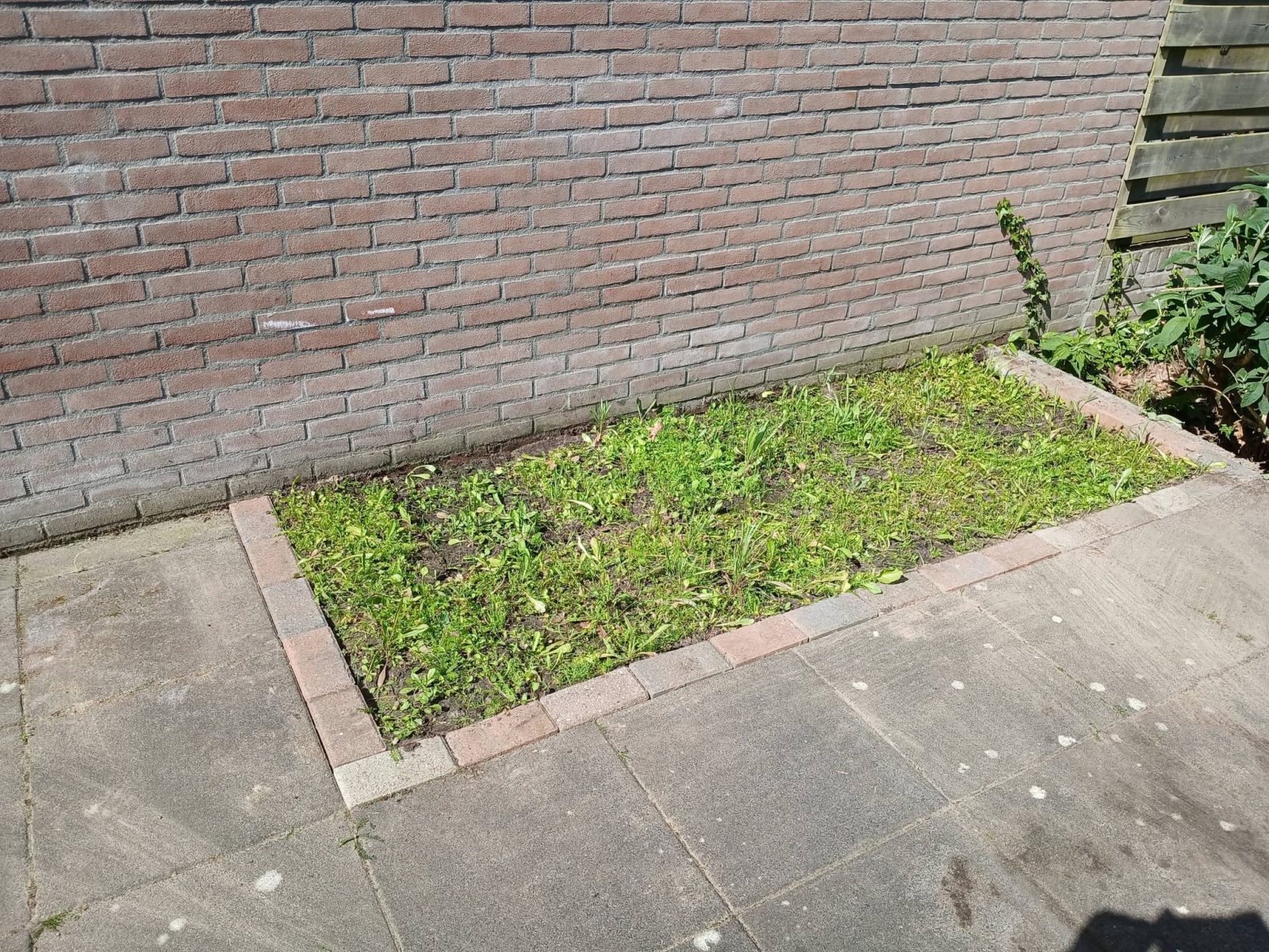 Tuinproject Anloo foto 3