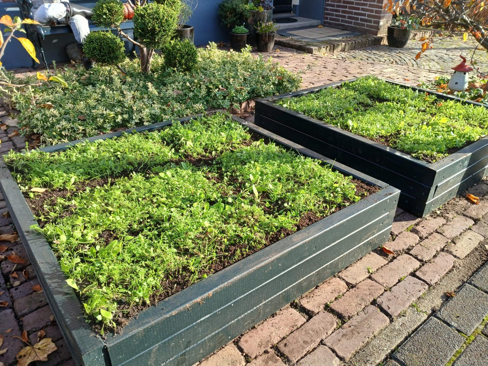 Bloembakken met zoden Doetinchem