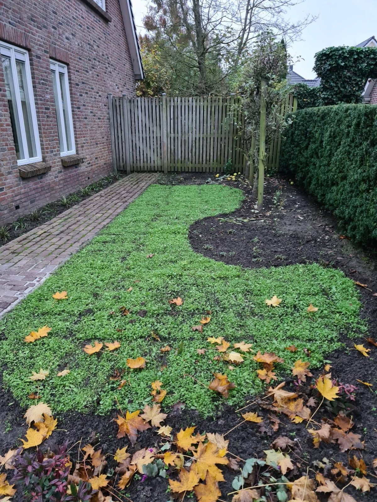 Bloemzoden Winschoten