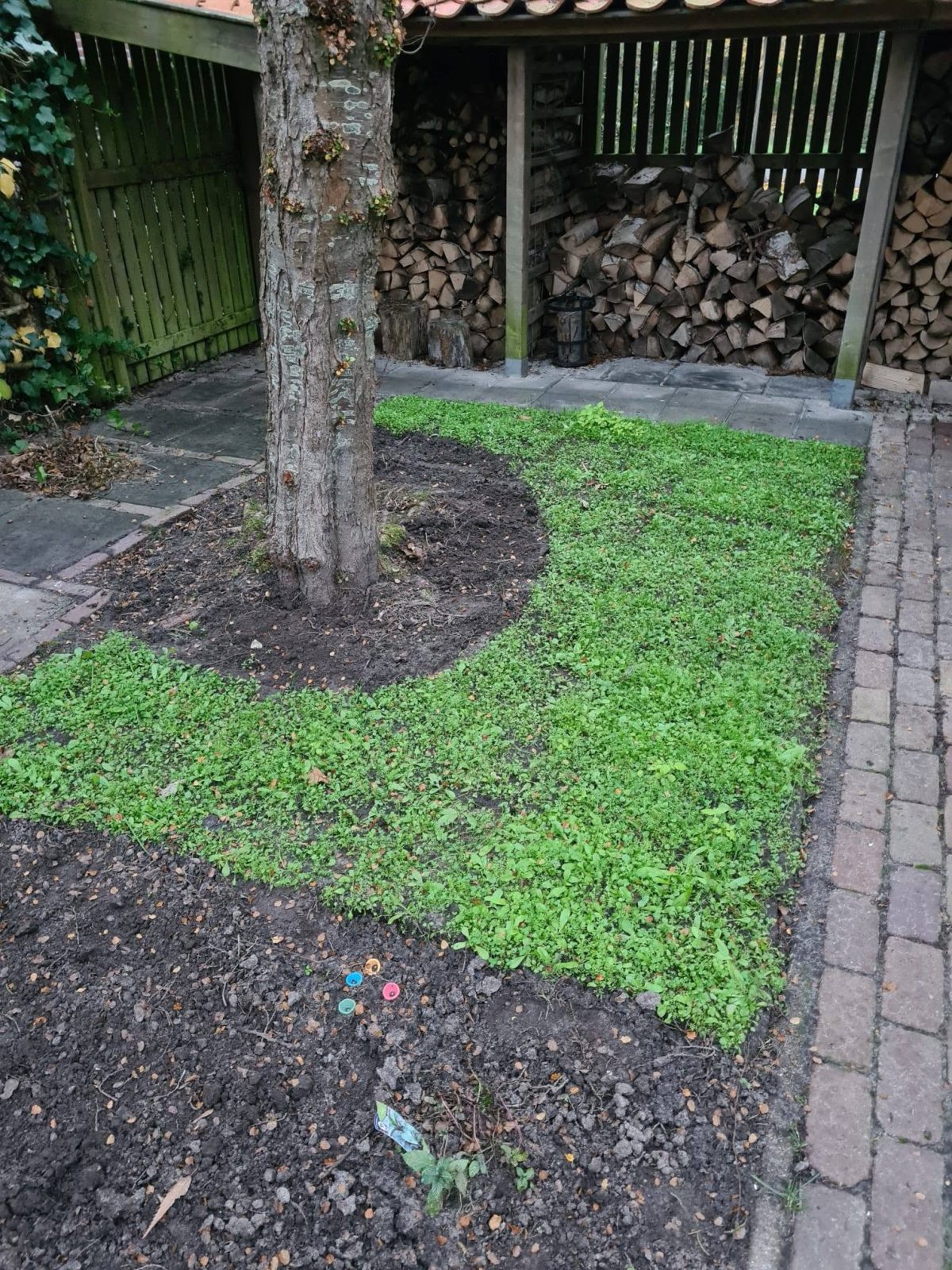 Bloemzoden Winschoten foto 2
