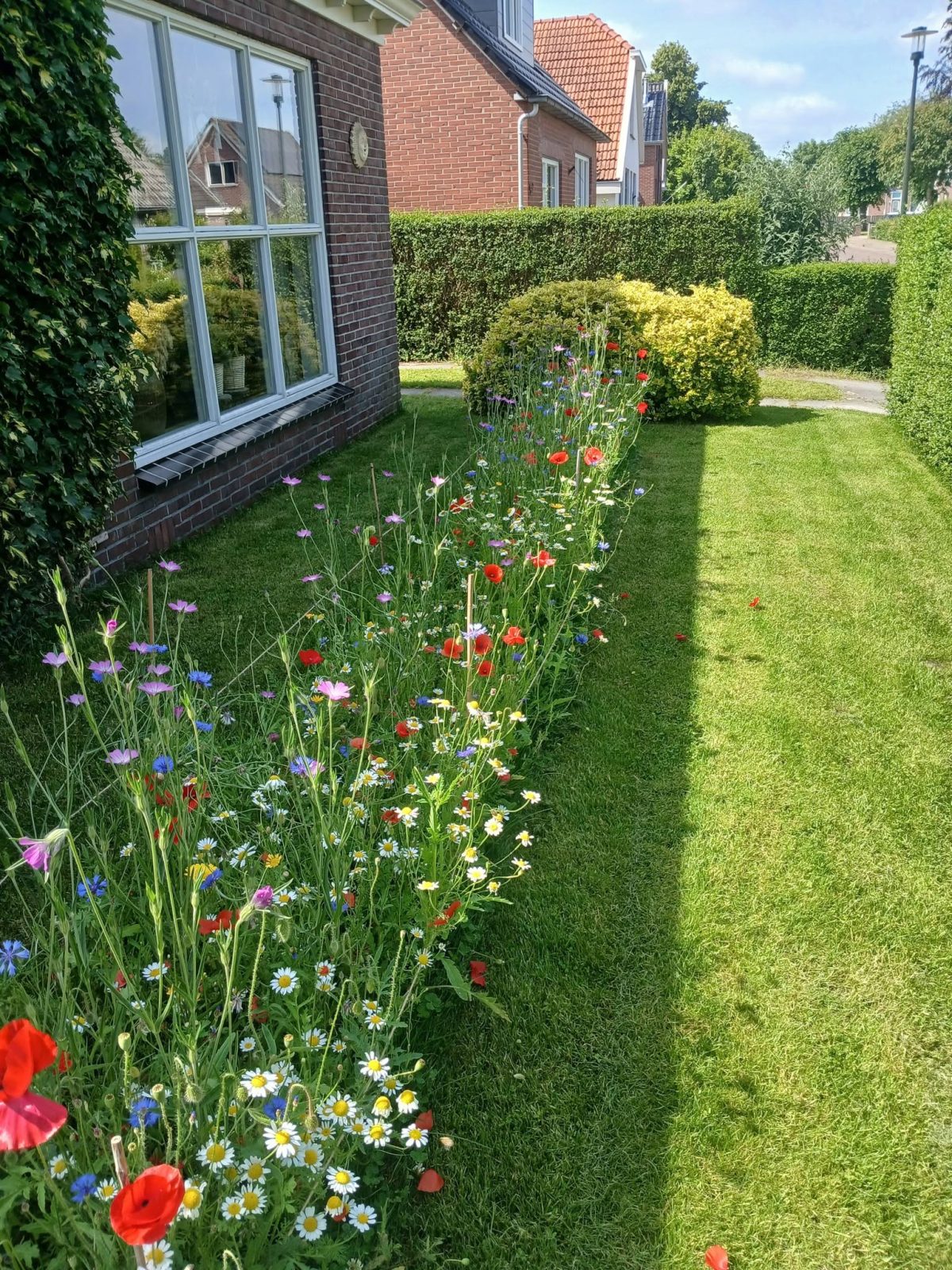 Tuinproject Gieterveen