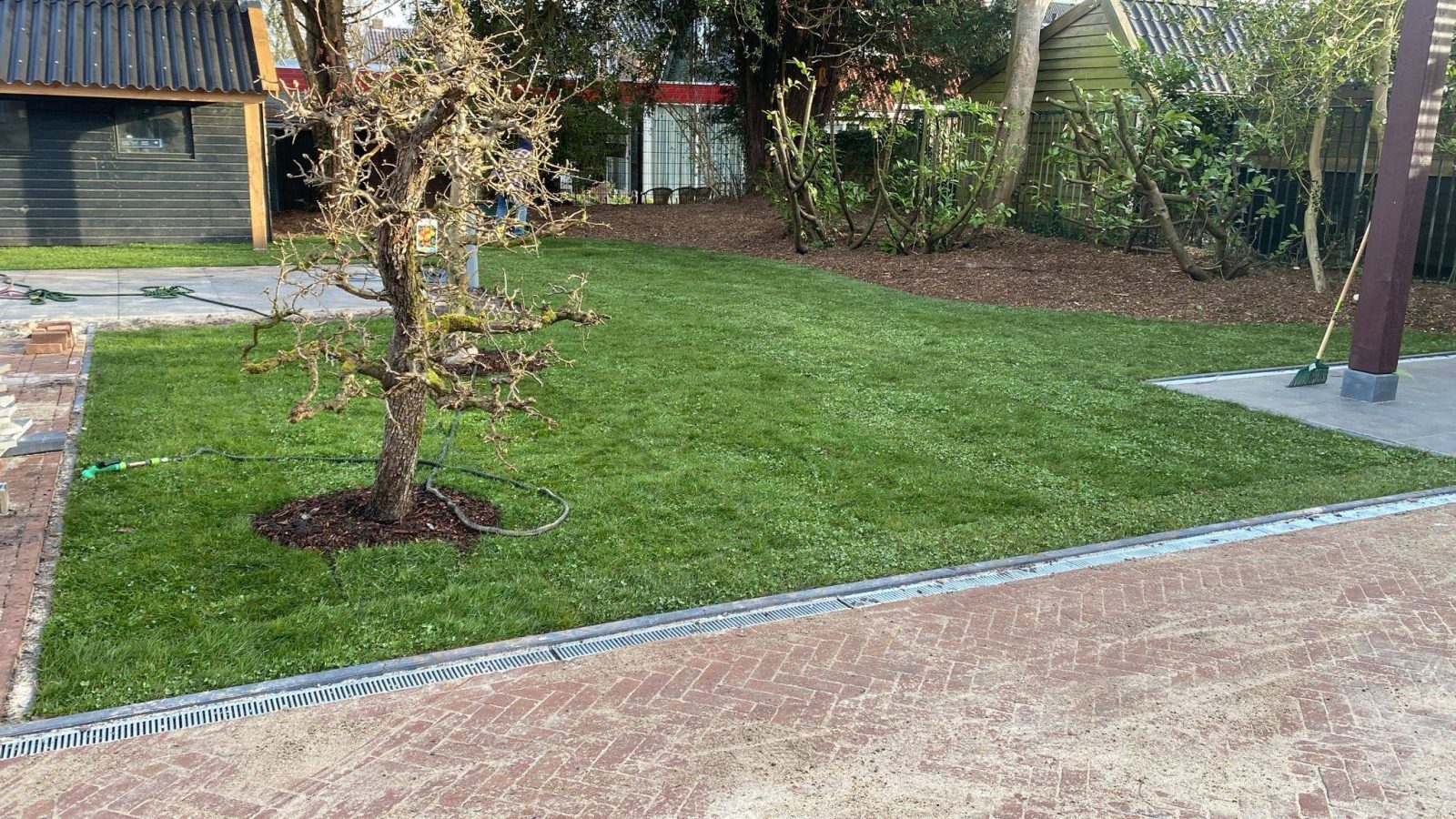 Graszoden natuur